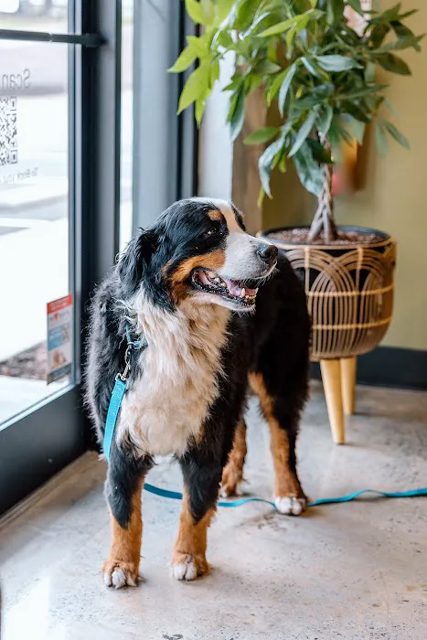 Southern Trail Animal Clinic 3