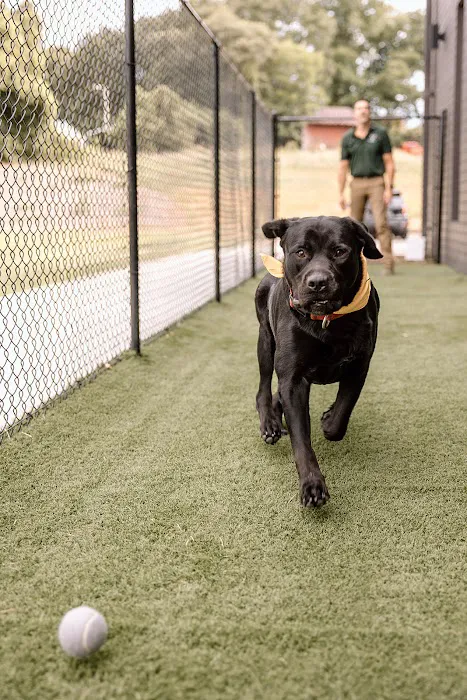 Southern Trail Animal Clinic 7