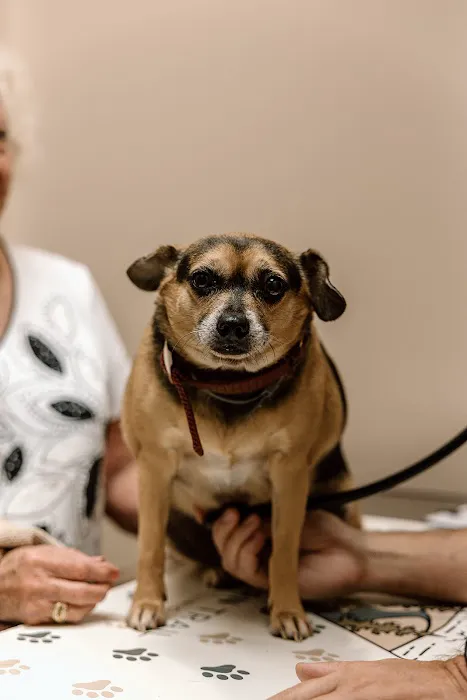 Southern Trail Animal Clinic 9