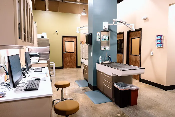 Southern Trail Animal Clinic 5