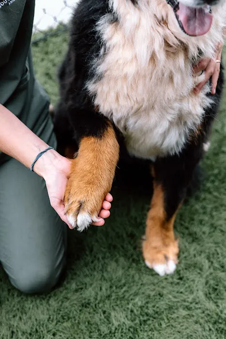 Southern Trail Animal Clinic 4