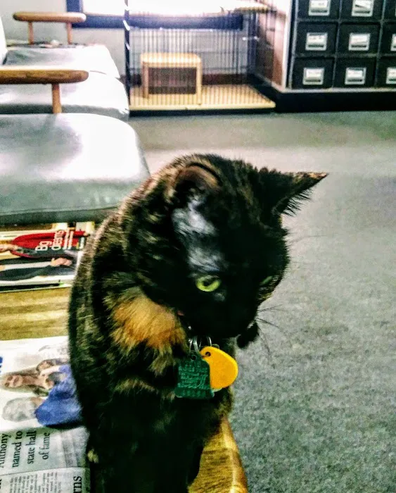 Foothills Animal Hospital 9