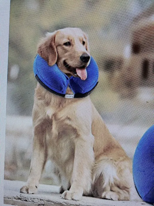 Mountain View Veterinary Services 3