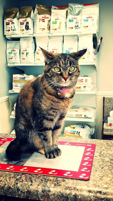 Magley Clemson Animal Hospital 1