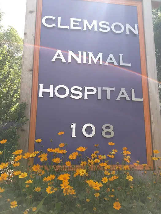 Magley Clemson Animal Hospital 4