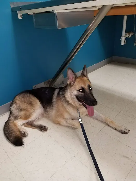 Pickens Animal Hospital 9