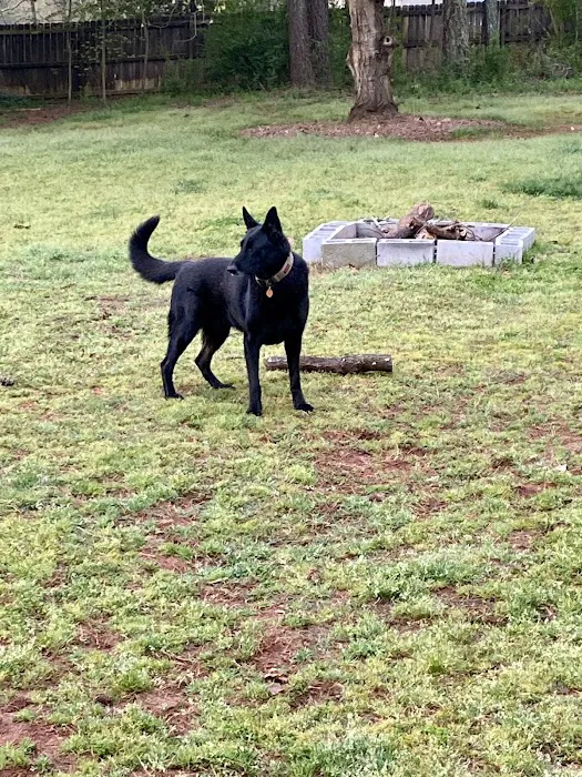Pickens Animal Hospital 7