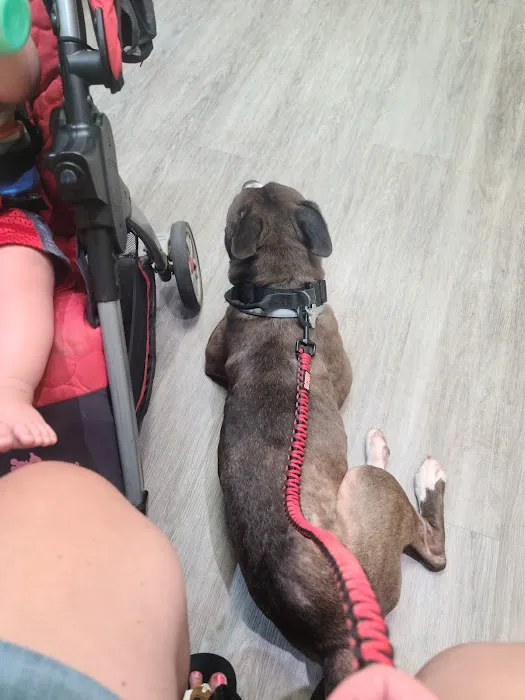 Toccoa Veterinary Hospital 9