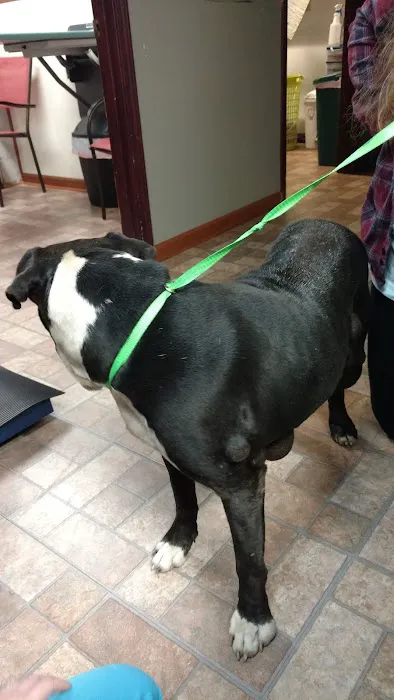 Currahee Veterinary Clinic 12