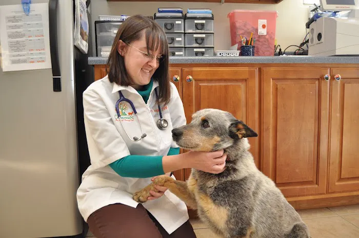 Crossroads Animal Hospital 5