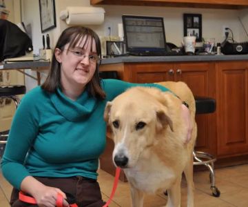 Crossroads Animal Hospital