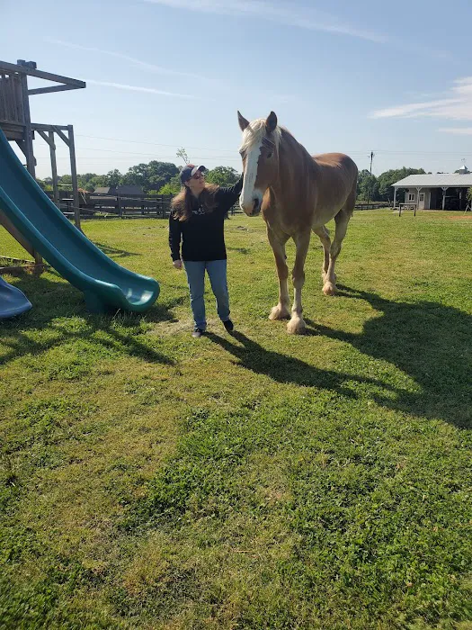 Wild Hearts Equine Therapy Center 6
