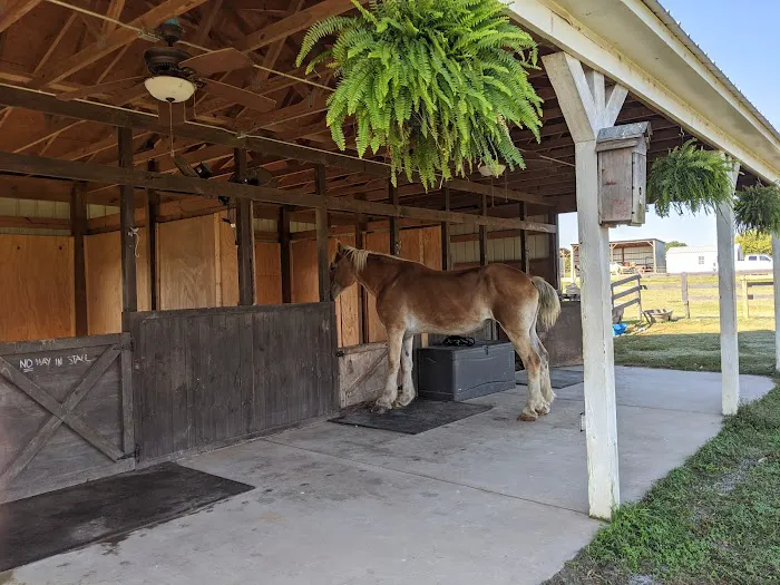 Wild Hearts Equine Therapy Center 2