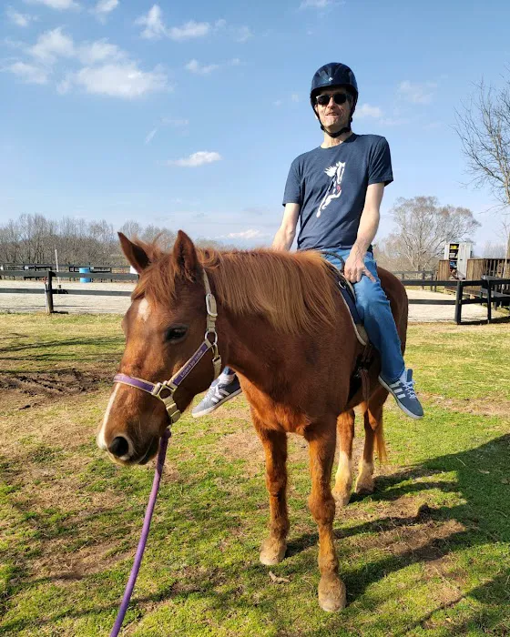 Wild Hearts Equine Therapy Center 9