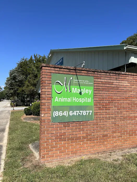 Magley Animal Hospital 10
