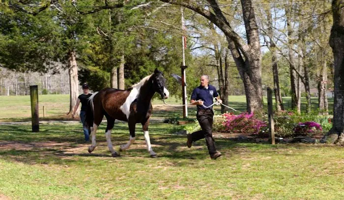 Garrison Equine Veterinary Care, LLC 3