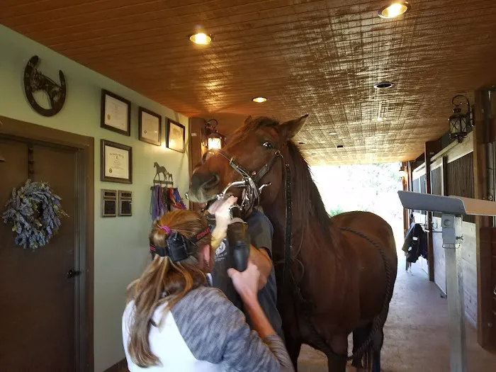 Garrison Equine Veterinary Care, LLC 4