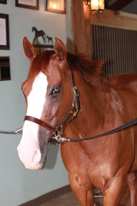 Garrison Equine Veterinary Care, LLC 9