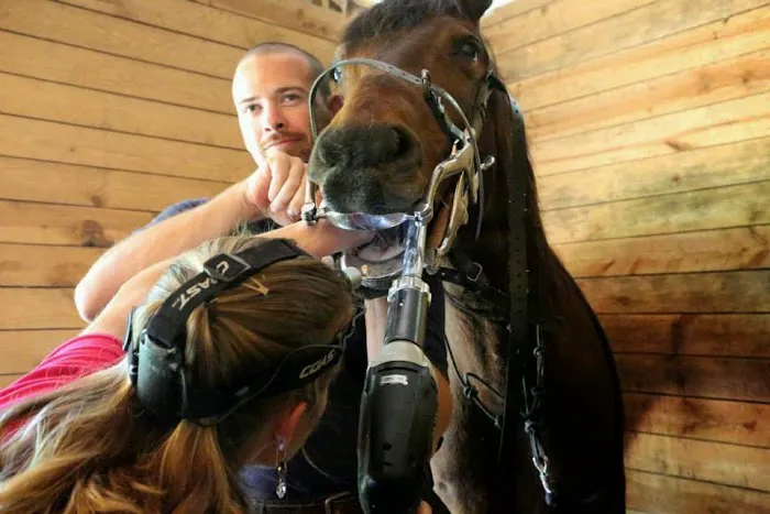 Garrison Equine Veterinary Care, LLC 10