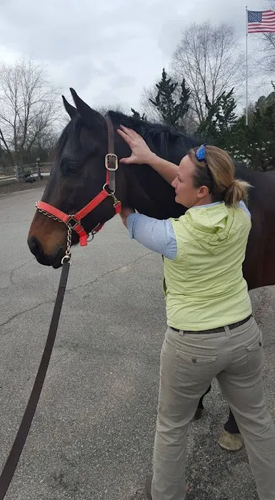 Palmetto Equine Veterinary Services 5