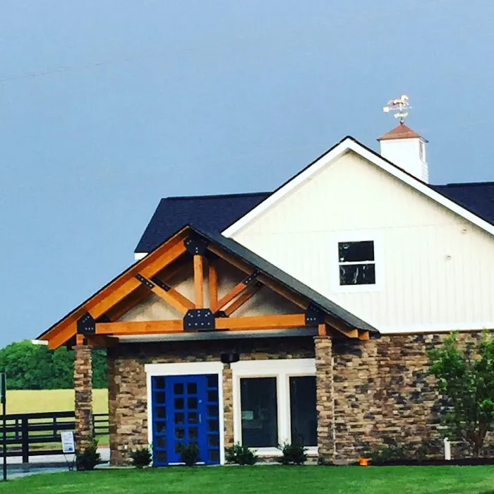 Palmetto Equine Veterinary Services 8