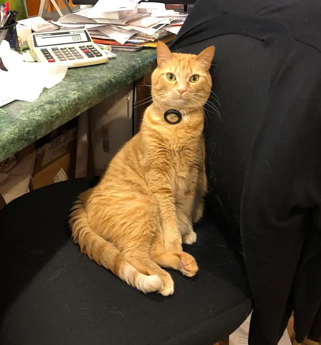 Cashiers Village Veterinary 10