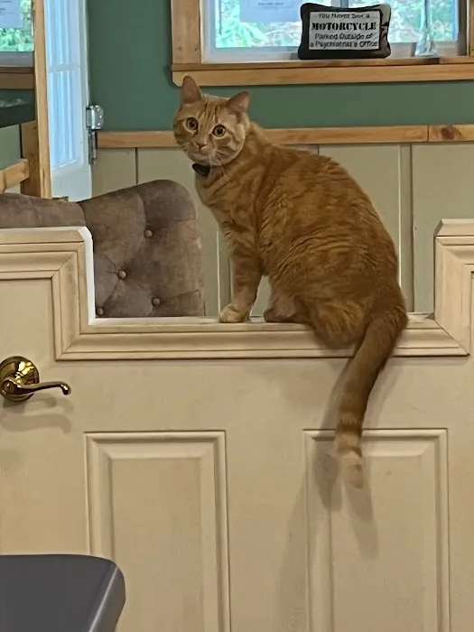 Cashiers Village Veterinary 8