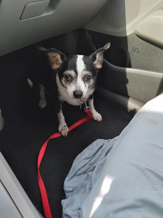 Sylva Animal Hospital 9
