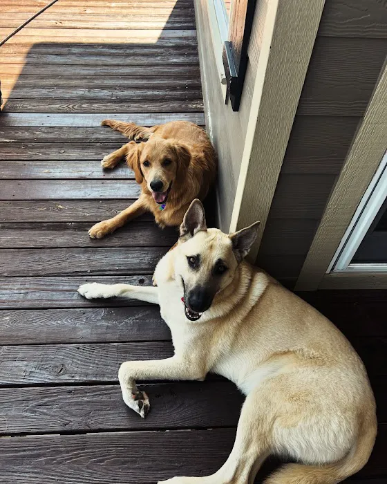 Sylva Animal Hospital 5
