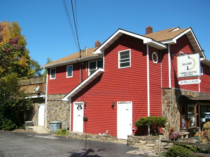 Balsam Animal Hospital 7