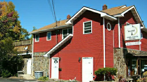 Balsam Animal Hospital 4