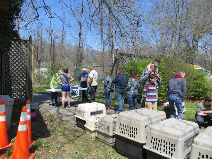 Haywood Spay/Neuter 5