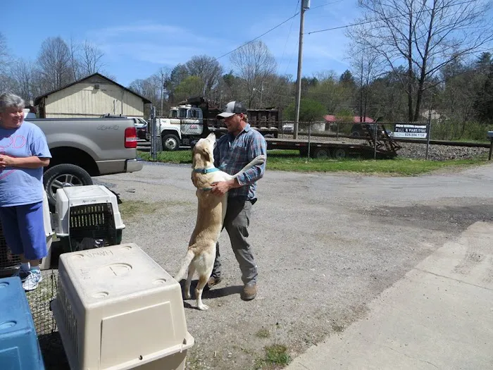Haywood Spay/Neuter 3