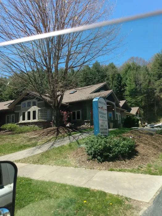 Maple Tree Veterinary Hospital and Dog Camp 3
