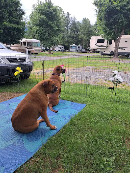 Junaluska Animal Hospital 8