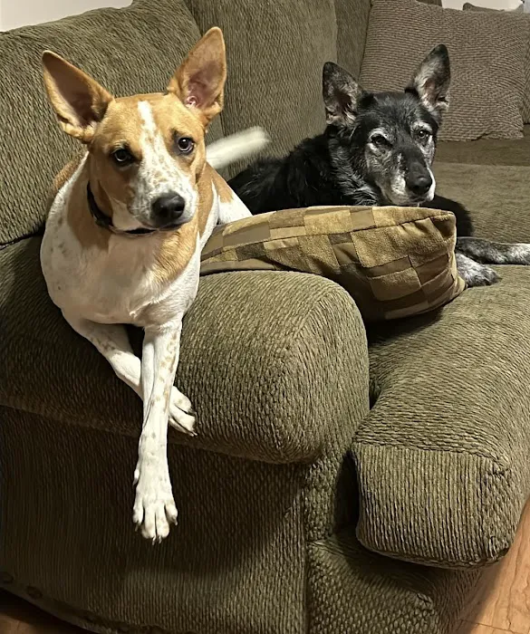 Northpoint Animal Hospital 3