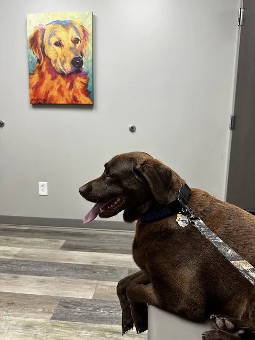 Northpoint Animal Hospital 5