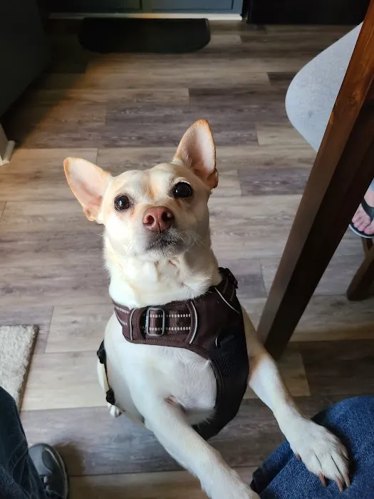 Northpoint Animal Hospital 4