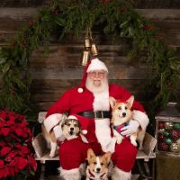 Lewisburg Animal Hospital ico