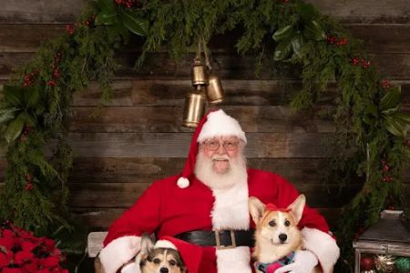 Lewisburg Animal Hospital