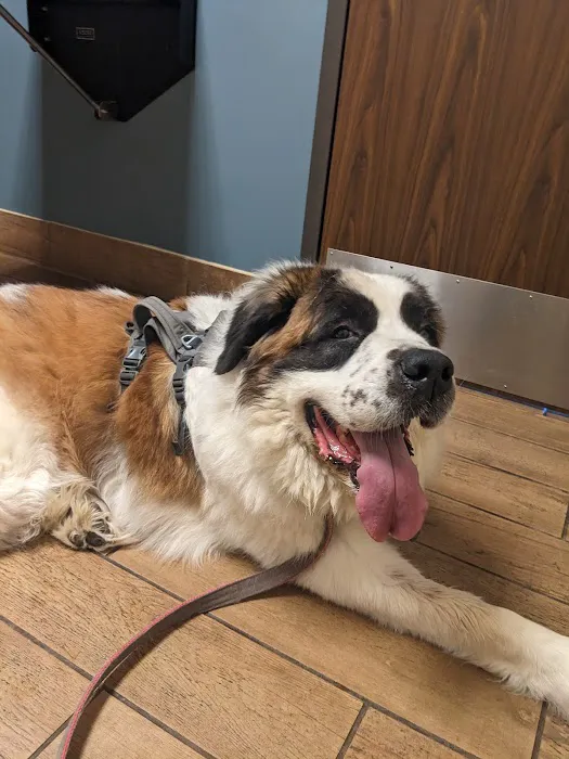 Lewisburg Animal Hospital 7