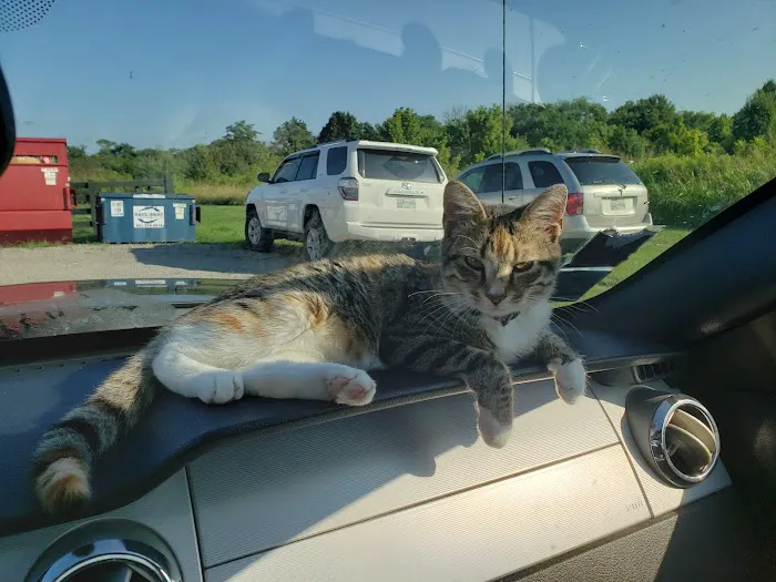Meredith-Warner Animal Clinic 10