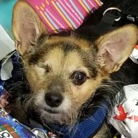 Meredith-Warner Animal Clinic ico