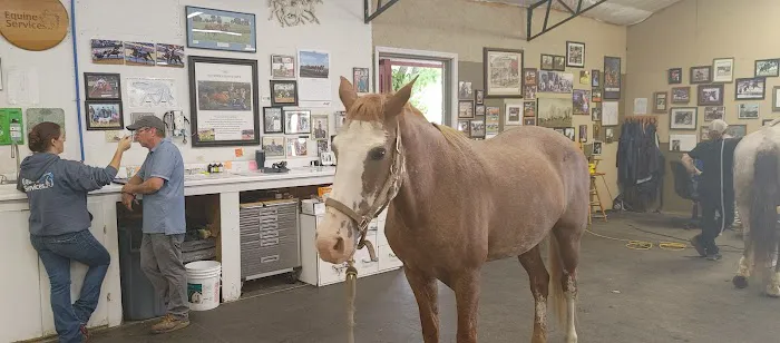 Equine Services LLC 1