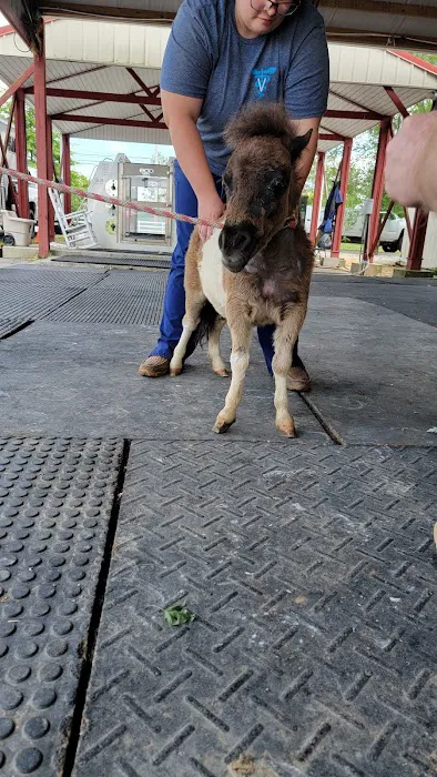Equine Services LLC 9