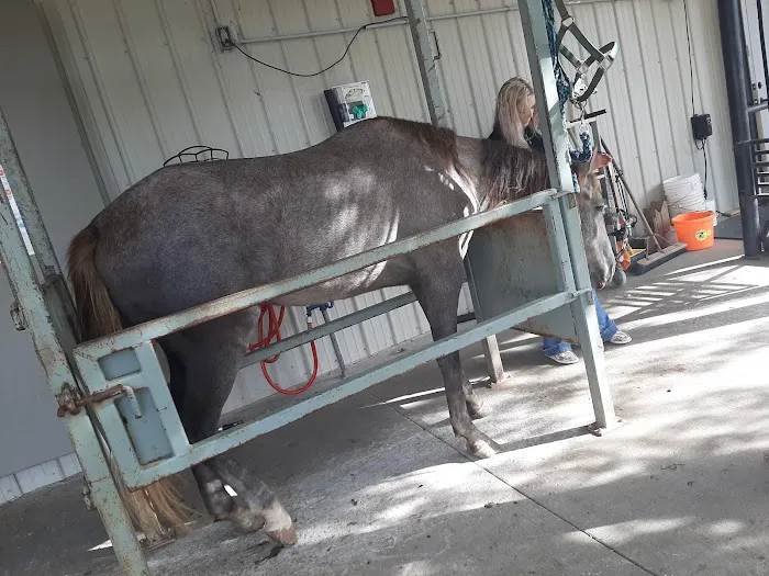 Equine Services LLC 2