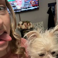 Highland Rim Animal Clinic ico