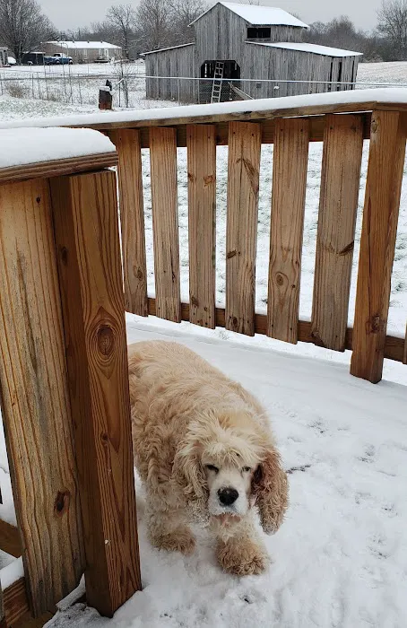 Elk River Veterinary Care formerly known as Park City Vet 1
