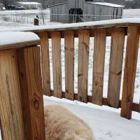 Elk River Veterinary Care formerly known as Park City Vet ico