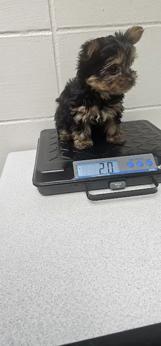 Berry Animal Hospital 1
